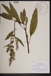 000189558-thumbnail.jpg