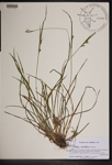 000189568-thumbnail.jpg