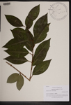 000189571-thumbnail.jpg