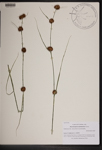 000189572-thumbnail.jpg