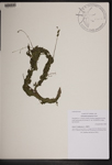 000189575-thumbnail.jpg