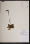 000189580-thumbnail.jpg