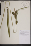 000189605-thumbnail.jpg