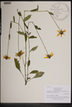 000189612-thumbnail.jpg