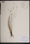 000189618-thumbnail.jpg