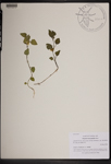 000189619-thumbnail.jpg