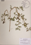 000189659-thumbnail.jpg