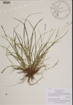 000189670-thumbnail.jpg
