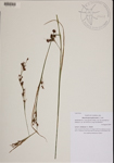 000189710-thumbnail.jpg