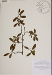 000189713-thumbnail.jpg