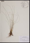 000189756-thumbnail.jpg
