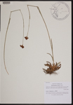 000189767-thumbnail.jpg