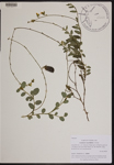 000189771-thumbnail.jpg