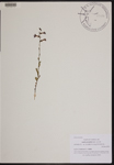 000189773-thumbnail.jpg