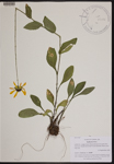 000189775-thumbnail.jpg