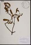 000189777-thumbnail.jpg