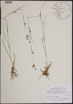 000189806-thumbnail.jpg