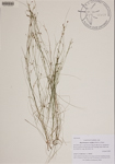 000189849-thumbnail.jpg