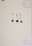 000189861-thumbnail.jpg