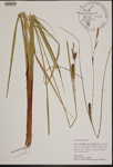 000189896-thumbnail.jpg