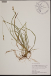 000189898-thumbnail.jpg
