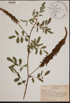 000189904-thumbnail.jpg