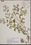 000189914-thumbnail.jpg