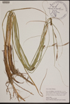 000189922-thumbnail.jpg