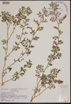 000189925-thumbnail.jpg