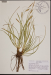 000189943-thumbnail.jpg