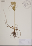 000189950-thumbnail.jpg