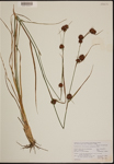 000189957-thumbnail.jpg