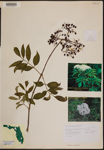 000189961-thumbnail.jpg
