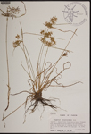000189994-thumbnail.jpg