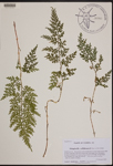 000190084-thumbnail.jpg