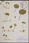000190094-thumbnail.jpg