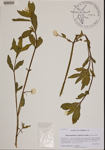 000190107-thumbnail.jpg