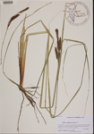 000190114-thumbnail.jpg