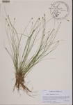 000190131-thumbnail.jpg
