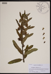 000190158-thumbnail.jpg