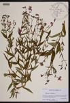000190165-thumbnail.jpg