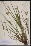 000190167-thumbnail.jpg