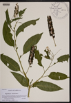 000190169-thumbnail.jpg