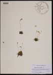 000190207-thumbnail.jpg