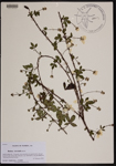 000190226-thumbnail.jpg