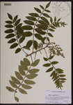 000190253-thumbnail.jpg