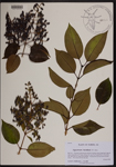 000190258-thumbnail.jpg