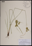 000190267-thumbnail.jpg