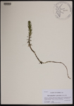 000190284-thumbnail.jpg