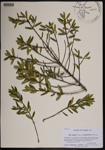 000190297-thumbnail.jpg